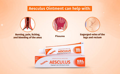 SBL Aesculus Ointment 25g Homeopathy Remedy