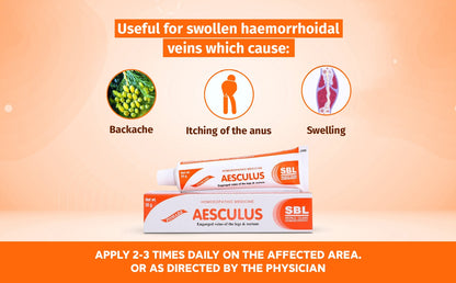 SBL Aesculus Ointment 25g Homeopathy Remedy
